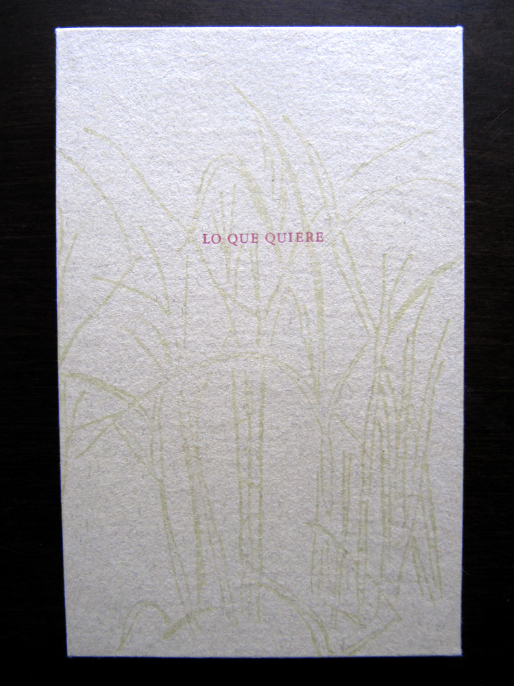 Lo Que Quiere Artist Book by Kendra Greene of Greene Ink Press