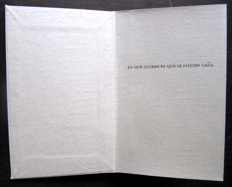 Lo Que Quiere Artist Book by Kendra Greene of Greene Ink Press