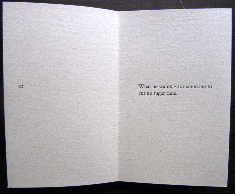 Lo Que Quiere Artist Book by Kendra Greene of Greene Ink Press