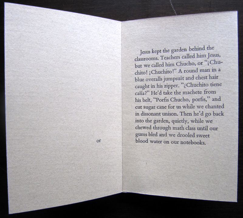 Lo Que Quiere Artist Book by Kendra Greene of Greene Ink Press