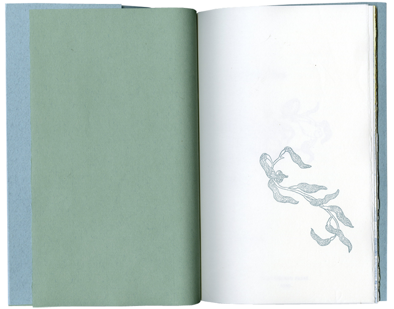 Sea Delisches Artist Book by Kendra Greene of Greene Ink Press