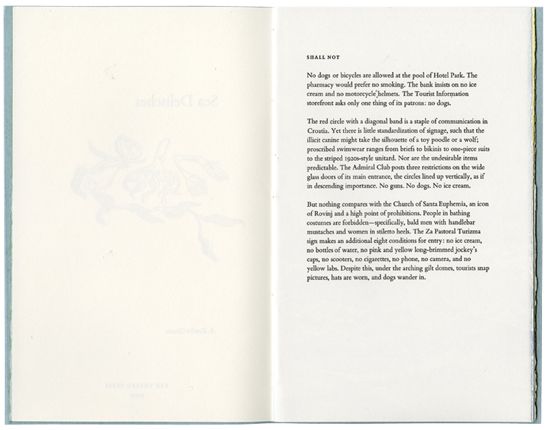 Sea Delisches Artist Book by Kendra Greene of Greene Ink Press