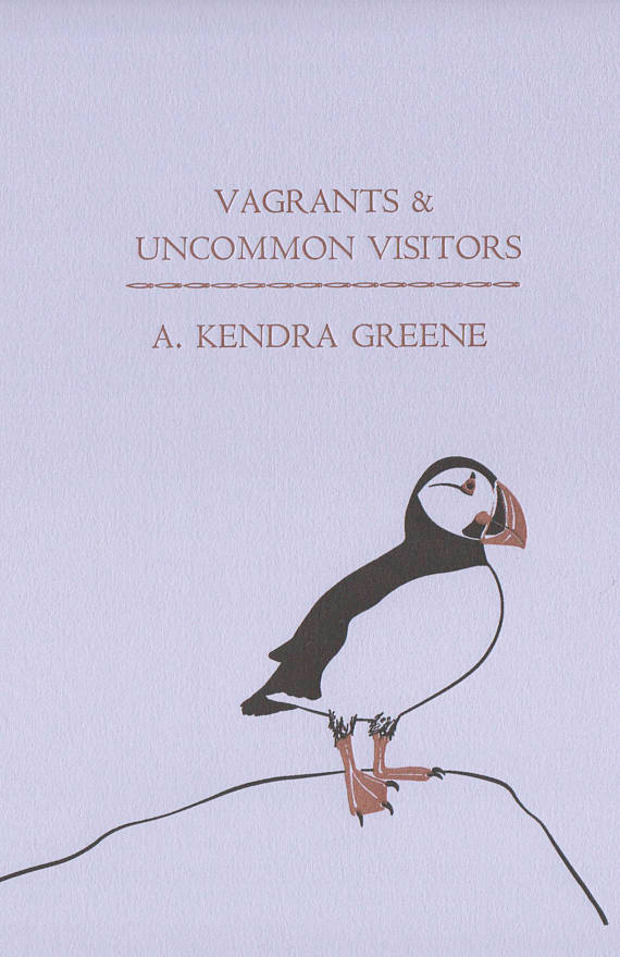Vagrants and Uncommon Visitors