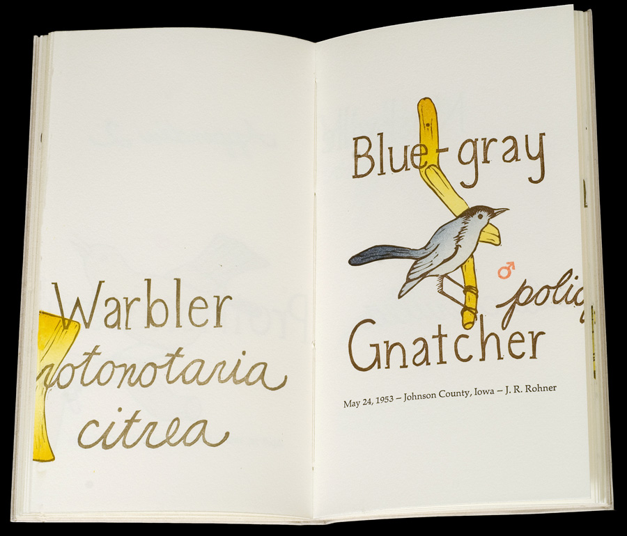 Yes, But Book Collaboration by Kendra Greene of Greene Ink Press
