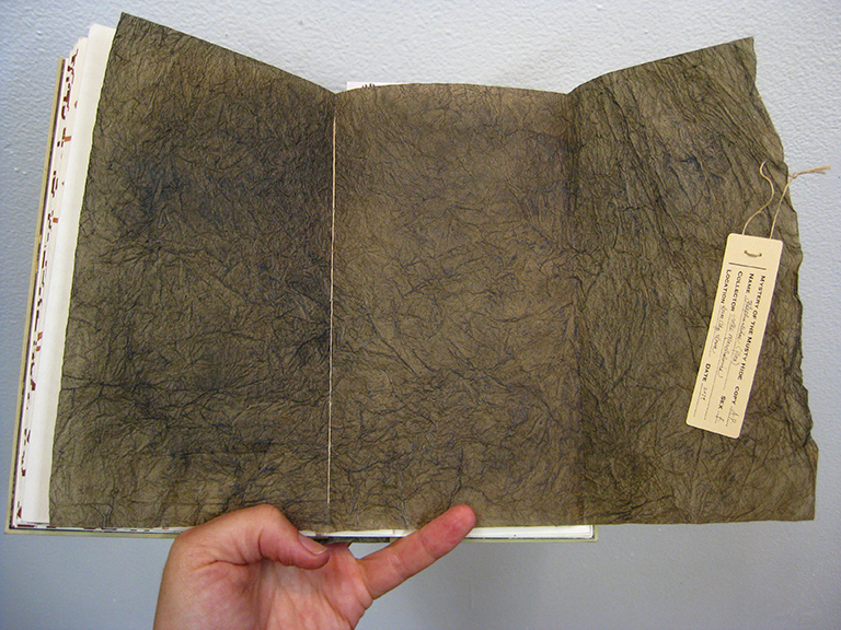 The Mystery of Musty Hide Collaboration by Kendra Greene of Greene Ink Press