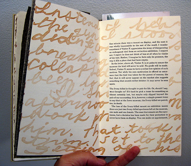 The Mystery of Musty Hide Collaboration by Kendra Greene of Greene Ink Press