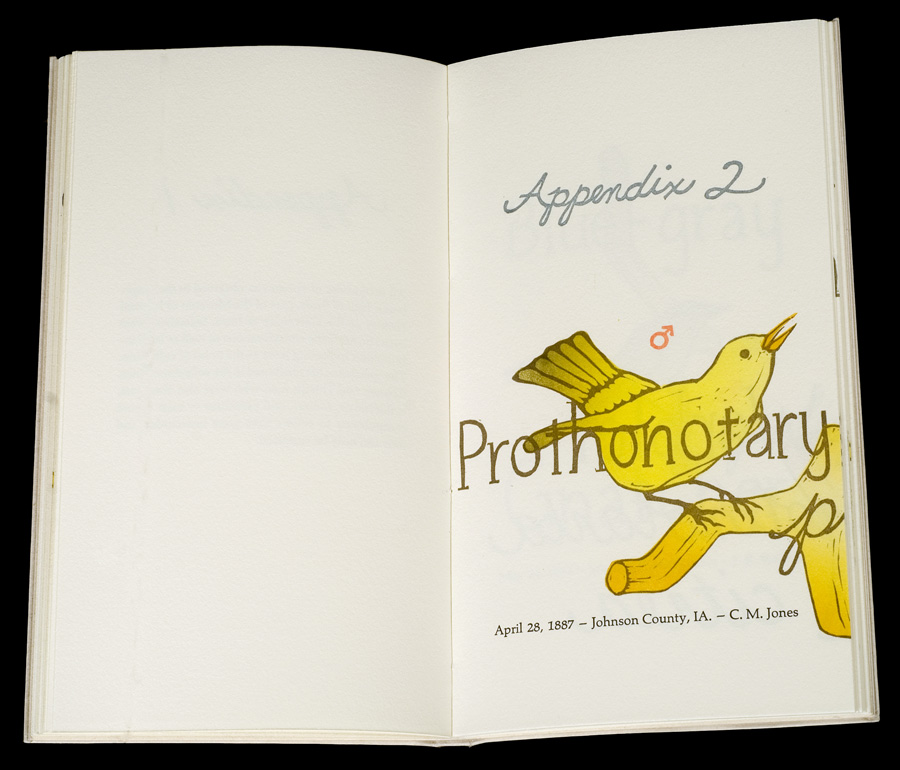Yes, But Book Collaboration by Kendra Greene of Greene Ink Press